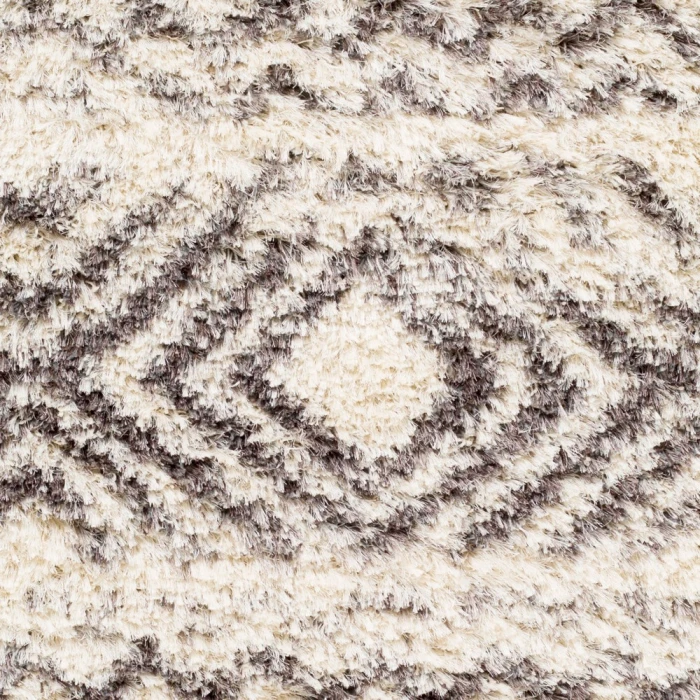 Surya Rhapsody RHA-1034-2x3 rug