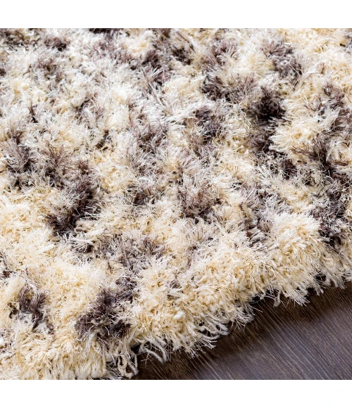 Surya Rhapsody RHA-1034-2x3 rug