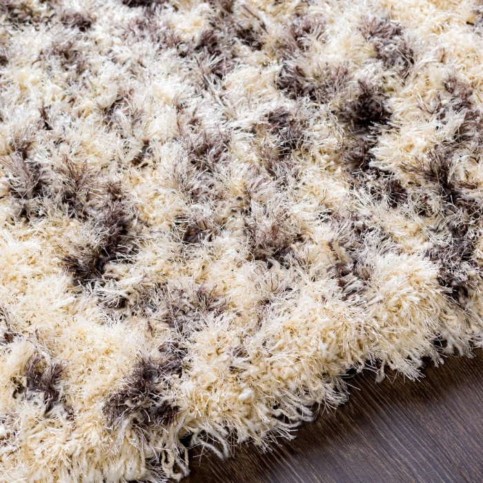 Surya Rhapsody RHA-1034-2x3 rug