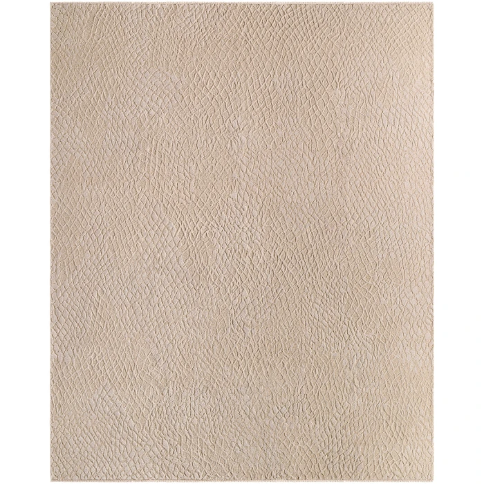 Reyyan RHE-2302 10' x 14' Handmade Rug
