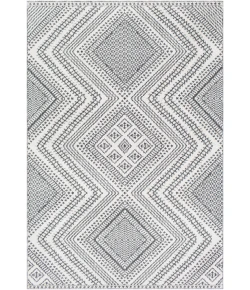 Livabliss Ariana RIA2302 Charcoal White Area Rug 2 ft. X 3 ft. Rectangle