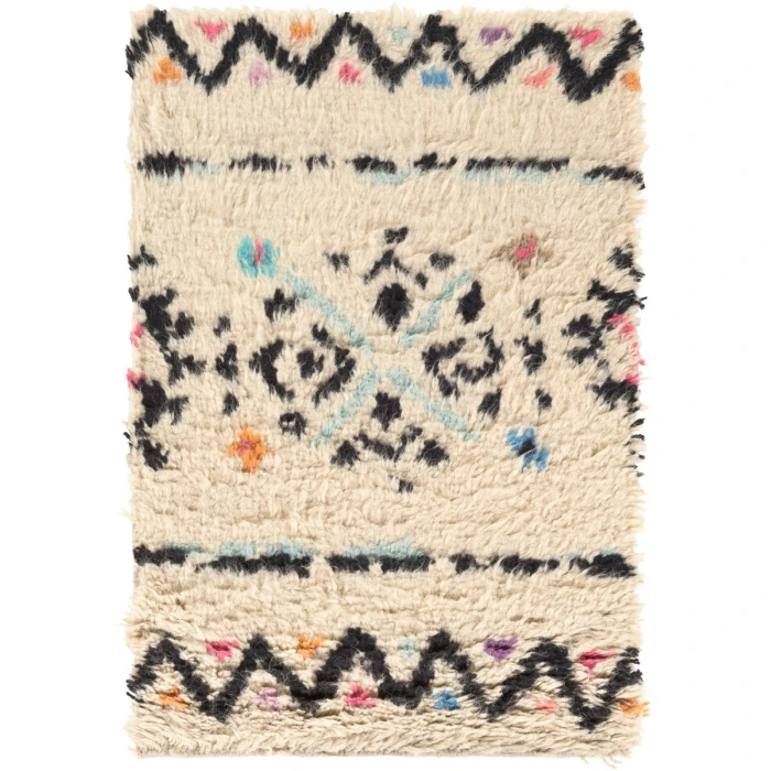 Surya Riad RID-3003-9x13 rug