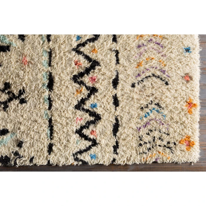 Surya Riad RID-3003-9x13 rug