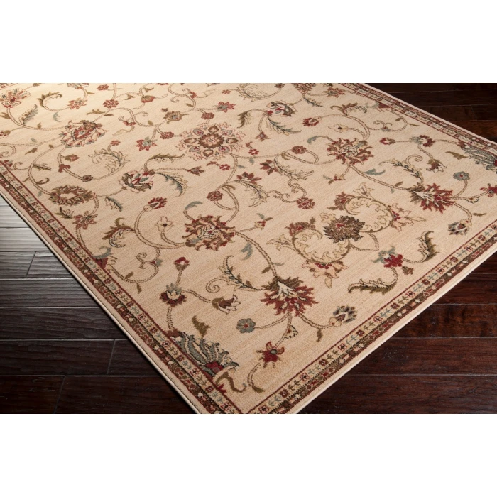 Livabliss Riley RLY-5026-4x55 rug