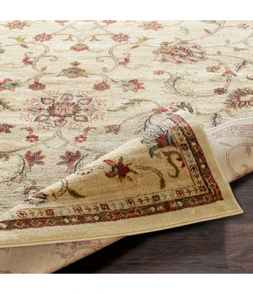 Livabliss Riley RLY-5026-3x8 rug