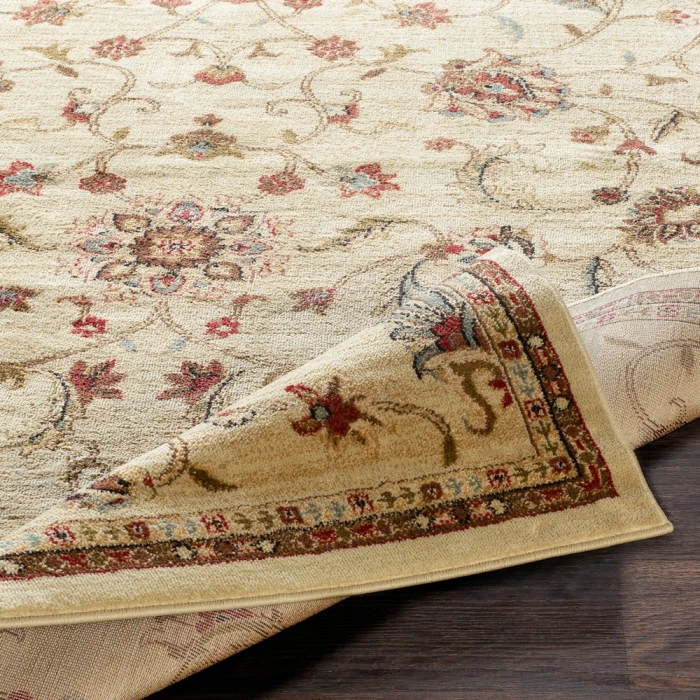 Livabliss Riley RLY-5026-4x55 rug