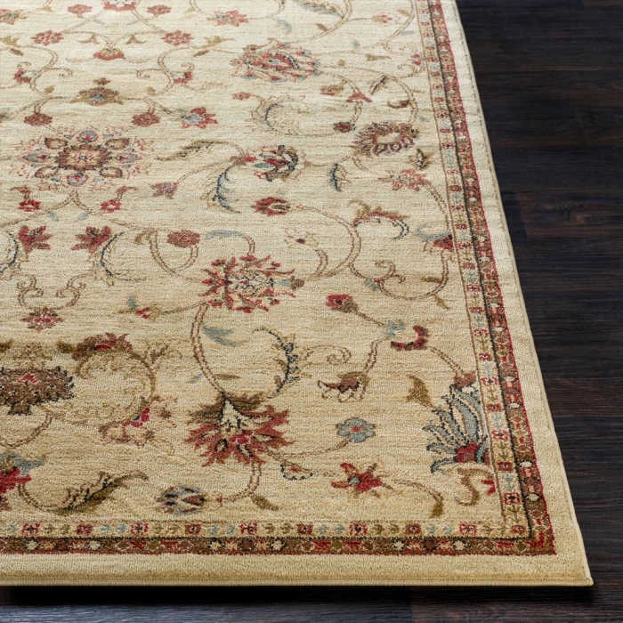 Livabliss Riley RLY-5026-4x55 rug