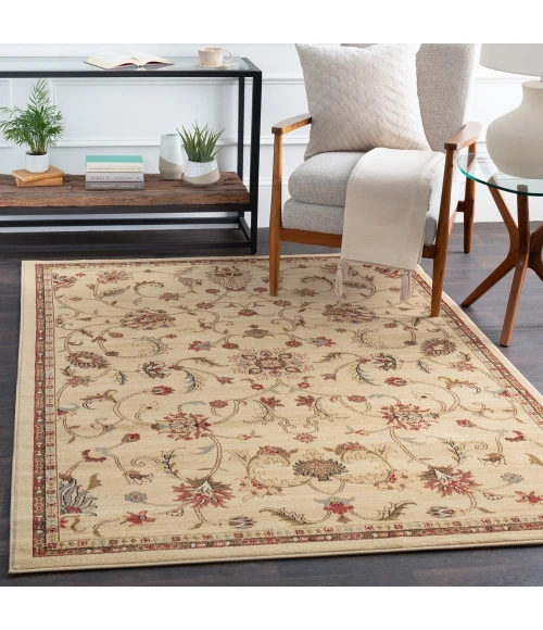 Livabliss Riley RLY-5026-10x13 rug
