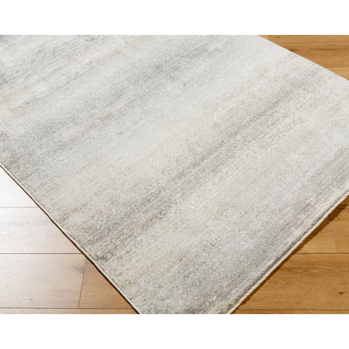 Rojin ROJ-2308 26" x 73" Machine Woven Rug