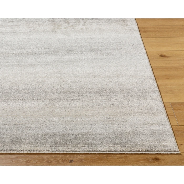 Rojin ROJ-2308 26" x 73" Machine Woven Rug