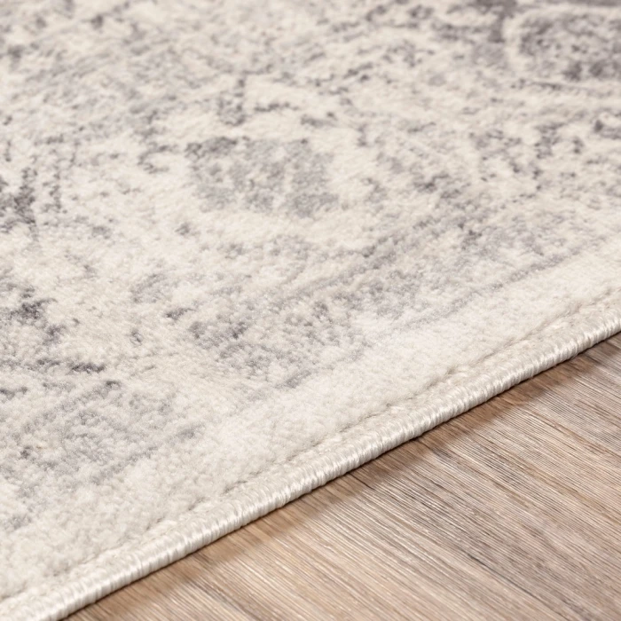 Livabliss Roma ROM-2322 27" x 10 Rug