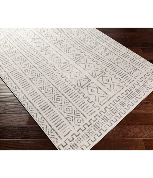 Surya Roma ROM-2328 9  x 12 3 Rug