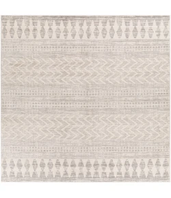 Livabliss Roma ROM2329 White Light Gray Area Rug 7 ft. 10 in. Square