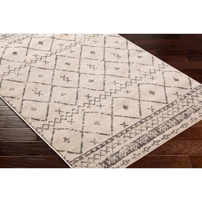 Livabliss Roma ROM-2338 27" x 73" Rug