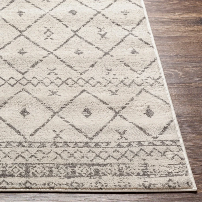 Livabliss Roma ROM-2338 27" x 73" Rug