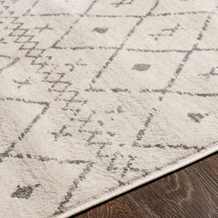 Livabliss Roma ROM-2338 27" x 73" Rug