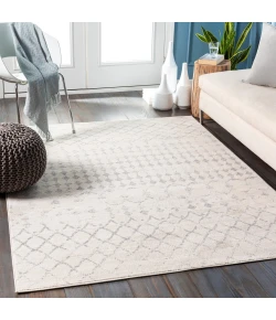 Livabliss Roma ROM2343 White Light Gray Area Rug 2 ft. X 3 ft. Rectangle