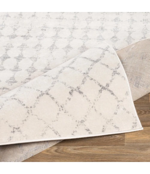 Livabliss Roma ROM-2343 Area Rug