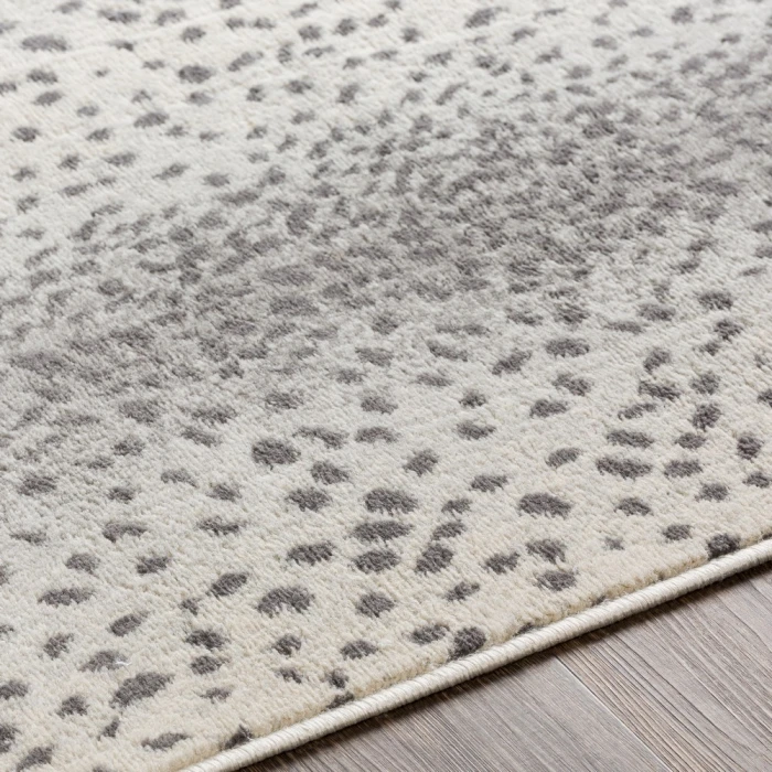 Livabliss Roma ROM-2371 9  x 12 3 Rug