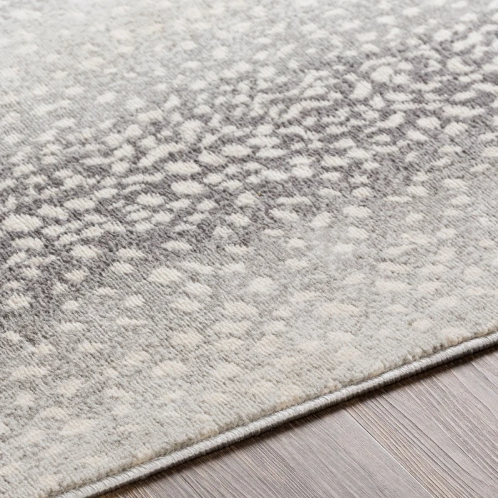Livabliss Roma ROM-2373 6 7 x 9  Rug