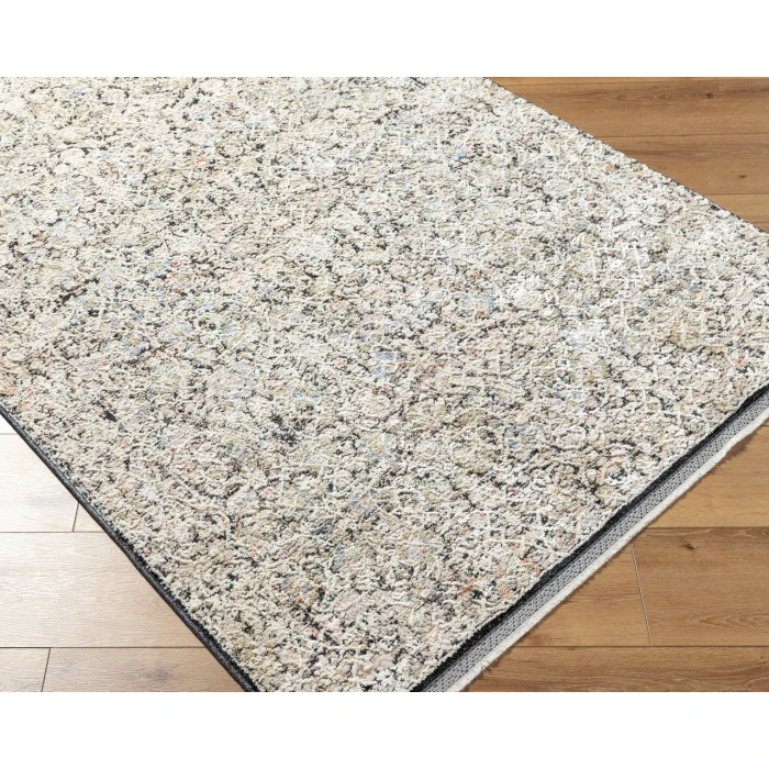 Livabliss Rivaldo Rug RVD2300