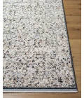 Livabliss Rivaldo Rug RVD2300