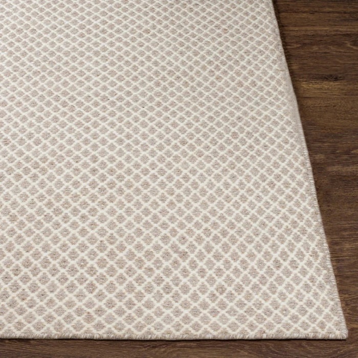 Surya Ravena RVN-3003-2x3 rug