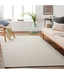 Surya Ravena RVN3003 Taupe Cream Area Rug 2 ft. X 3 ft. Rectangle