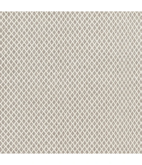 Surya Ravena RVN-3003-2x3 rug