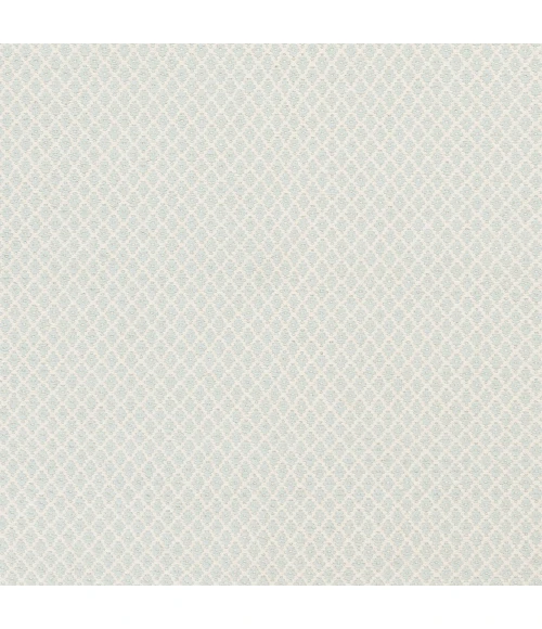 Surya Ravena RVN-3113-2x3 rug