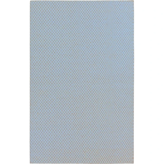 Surya Ravena RVN-3115-2x3 rug