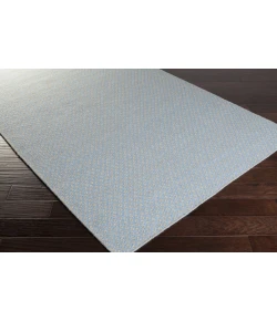Surya Ravena RVN3115 Sky Blue Light Gray Area Rug 2 ft. X 3 ft. Rectangle