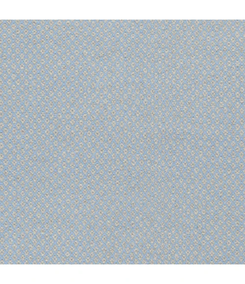 Surya Ravena RVN-3115-2x3 rug