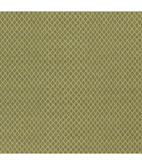 Surya Ravena RVN-3119-2x3 rug