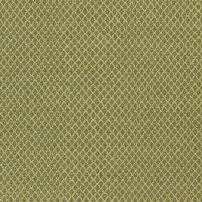 Surya Ravena RVN-3119-2x3 rug
