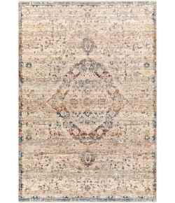 Livabliss Arya RYA2308 Medium Gray Charcoal Area Rug 8 ft. 10 in. X 12 ft. 10 in. Rectangle