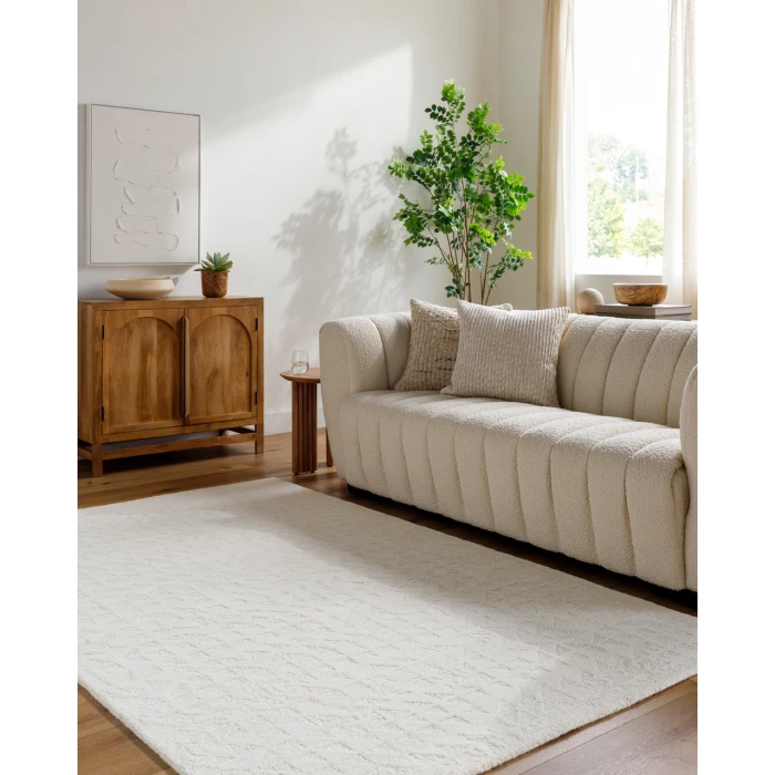 Rize RZE-2310 2 x 3 Handmade Rug
