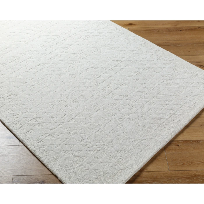 Rize RZE-2310 2 x 3 Handmade Rug