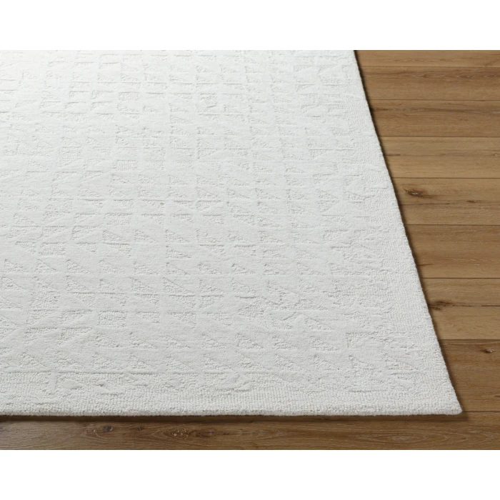 Rize RZE-2310 2 x 3 Handmade Rug