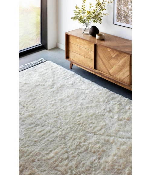 Surya Sahara SAH-2302 2  x 3  Rug