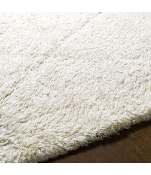 Surya Sahara SAH-2302 2  x 3  Rug