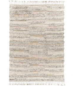 Surya Sahara SAH2305 Light Beige Gray Area Rug 10 ft. X 14 ft. Rectangle
