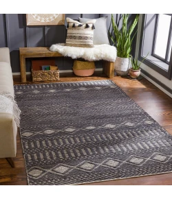 Surya Santa Barbara SBB2309 Charcoal Beige Area Rug 8 ft. X 10 ft. Rectangle