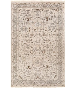 Surya Sabine SBN1001 Light Gray Khaki Area Rug 2 ft. X 3 ft. Rectangle
