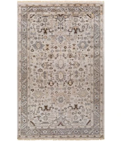Surya Sabine SBN1001 Light Gray Khaki Area Rug 2 ft. X 3 ft. Rectangle