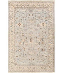 Surya Sabine SBN1002 Pale Blue Butter Area Rug 2 ft. X 3 ft. Rectangle
