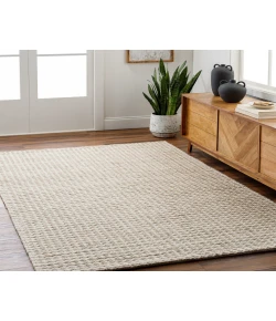 Livabliss Sundance SDC2300 Light Grey Taupe Area Rug 6 ft. X 9 ft. Rectangle
