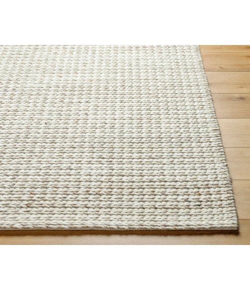Surya Sundance Rug SDC2303