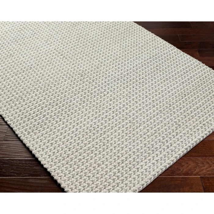 Surya Sundance Rug SDC2304