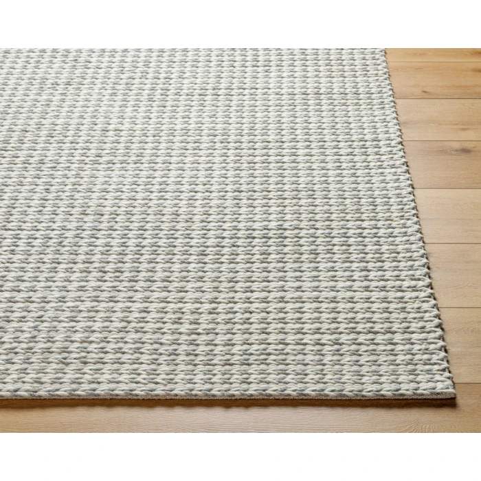 Surya Sundance Rug SDC2304